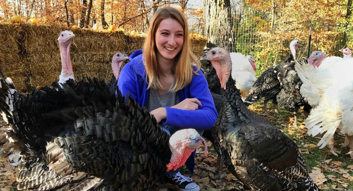 Minnesota Turkey Growers Association Inspire PR Group